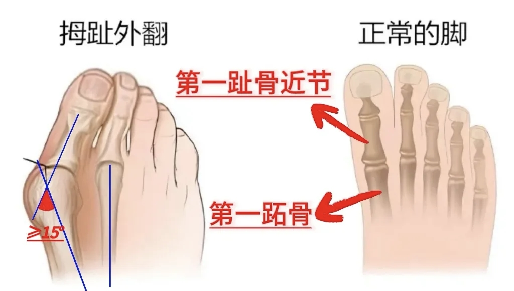 微信图片_2025-11-18_084010_499.png